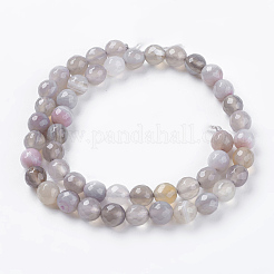 Natural Striped Agate/Banded Agate Beads Strands&nbsp;G-G581-8mm-09