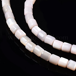 Natural Trochid Shell/Trochus Shell Bead Strands&nbsp;SSHEL-N034-77-C05