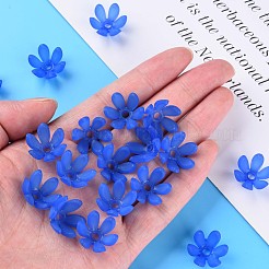 Transparent Acrylic Beads&nbsp;MACR-S373-47-D06