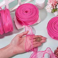 Polyester Mesh Ribbons&nbsp;SRIB-TAC0002-28B-03-1