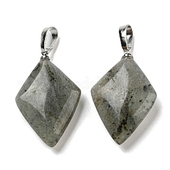 Natural Labradorite  Pendants&nbsp;G-C066-03B