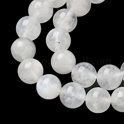 Natural Rainbow Moonstone Beads Strands&nbsp;G-I249-B04-04