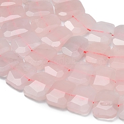 Natural Rose Quartz Beads Strands&nbsp;G-C285-A08-01