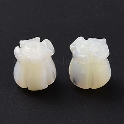 Natural Trochid Shell/Trochus Shell Beads&nbsp;SHEL-P014-01