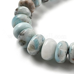 Natural Larimar Beads Strands&nbsp;G-Q024-E03-01