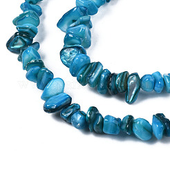Natural Freshwater Shell Beads Strands&nbsp;SHEL-S278-070F
