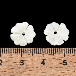 天然のトロカス貝の彫刻ビーズ  花  フローラルホワイト  12x2.8~3mm  穴：1.4mm&nbsp;SH-CBACA76-01