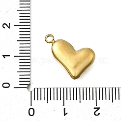 304 Stainless Steel Pendants&nbsp;STAS-Z163-18G