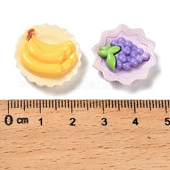 不透明な樹脂カボション  フルーツ盛り合わせ  ミックスカラー  18.5~21.5x20~24x6.5~8.5mm&nbsp;CRES-I044-09