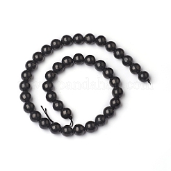 Natural Shungite Beads Strands&nbsp;G-I271-C03-12mm