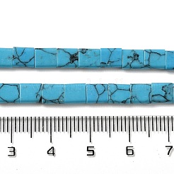 Synthetic Turquoise Beads Strands&nbsp;G-F762-A01-01