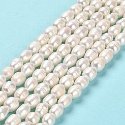 天然養殖淡水パールビーズ連売り  ライス  グレードA +  貝殻色  8.5~10.5x6.5~7.5mm  穴：0.7mm  約35~39個/連  13.19 ~13.58''（33.5~34.5センチメートル）&nbsp;PEAR-E016-181A