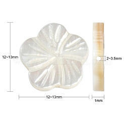 30Pcs Natural Freshwater Shell Beads Strands&nbsp;SHEL-CJ0001-30