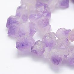 Natural Amethyst Beads Strands&nbsp;G-P322-09
