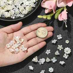 300個のABSプラスチックイミテーションパールフラワービーズキャップ  5枚の花びらと6枚の花びら  淡黄色  6.5~12.5x8~15x3~7mm  穴：1.5mm&nbsp;KY-CJ0001-59