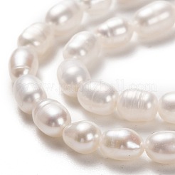 Natural Cultured Freshwater Pearl Beads Strands&nbsp;PEAR-L033-62-01