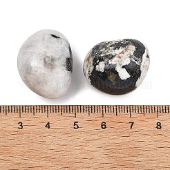 天然レインボームーンストーンビーズ  転がった石  穴なし/ドリルなし  ナゲット  15~40.5x11~20x7~19mm&nbsp;G-G348-01A-30