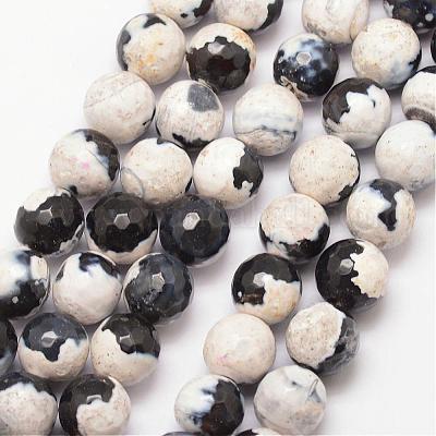 Natural Fire Crackle Agate Bead Strands&nbsp;G-K166-06F-10mm-12-1
