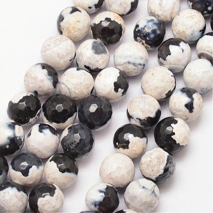 Natural Fire Crackle Agate Bead Strands&nbsp;G-K166-06F-10mm-12-1