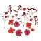 3D Dried Flowers Nail Art Decorations, Flower & Leaf, Dark Red, Paper Size: 139x97mm