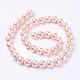 Shell Pearl Beads Strands&nbsp;BSHE-L035-10mm-I01-2