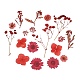 3D Dried Flowers Nail Art Decorations&nbsp;MRMJ-R078-07-1