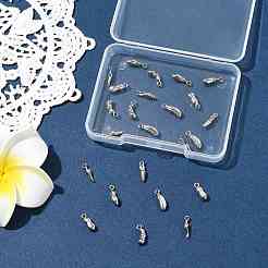 24Pcs 6 Styles Vegetables 304 Stainless Steel Charms&nbsp;STAS-FS0002-11