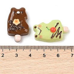 Opaque Resin Imitation Food Decoden Cabochons&nbsp;CRES-I034-06