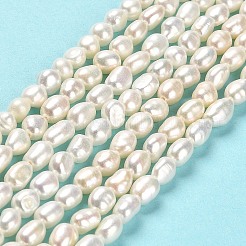 天然養殖淡水パールビーズ連売り  研磨両側  グレード4a+  リネン  4.5~6.5x4~5mm  穴：0.6mm  約57~59個/連  13.98~14.09インチ（35.5~35.8cm）&nbsp;PEAR-E016-063