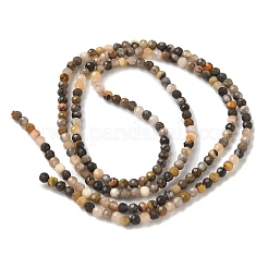 Natural Bumblebee Jasper Beads Strands&nbsp;G-D306-A08-2mm