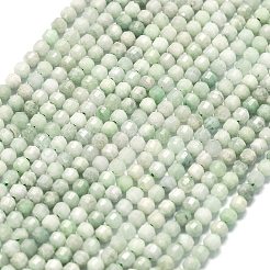Natural Jadeite Jade Beads Strands&nbsp;G-A260-A36-01