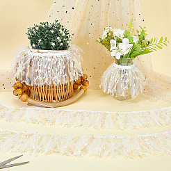 Fringe Polyester Lace Ribbon&nbsp;DIY-WH20062-40A
