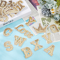 Sequin Embroidery Iron on/Sew on Patches&nbsp;DIY-WH0568-79B