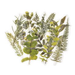 20Pcs Vintage Leaf PET Self-Adhesive Stickers&nbsp;DIY-M077-01C