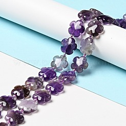Natural Amethyst Beads Strands&nbsp;G-D475-02K