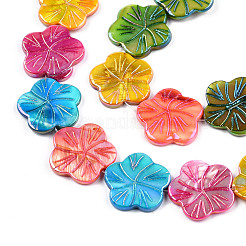 Natural Freshwater Shell Beads Strands&nbsp;SHEL-N026-221A