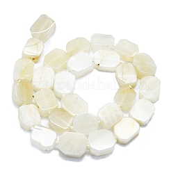 天然ホワイトムーンストーンビーズ連売り  長方形  13~15x10~12x4~6mm  穴：1mm  約25個/連  16.34インチ（41.5cm）&nbsp;G-K245-K01-01