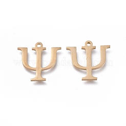 304 Stainless Steel Charms&nbsp;STAS-K215-11G