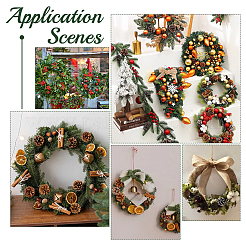 8Pcs 4 Styles Wreath Frames for Crafts&nbsp;WOOD-FG0001-33