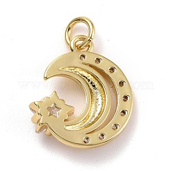 Brass Micro Pave Clear Cubic Zirconia Pendants&nbsp;ZIRC-E165-04G