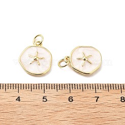 Brass Enamel Charms&nbsp;KK-L237-022G-01