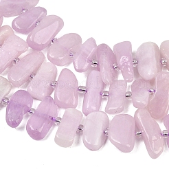 Natural Kunzite Beads Strands&nbsp;G-L657-E05-01