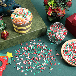 クリスマスをテーマにした1セットのDIYエポキシ樹脂材料充填  ポリマー粘土やプラスチックビーズを含む  混合図形  ミックスカラー  5~11x1.5~9x0.5~3mm  100 G /セッティング&nbsp;DIY-SC0027-30A