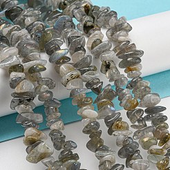 天然のラブラドライトさざれ石のビーズ連売り  5~8x5~8mm  穴：1mm  約31.5インチ&nbsp;G-M205-13