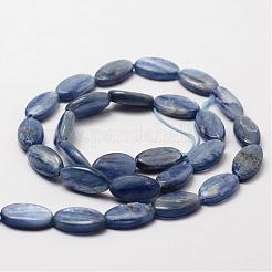 Oval Natural Kyanite/Cyanite/Disthene Bead Strands&nbsp;G-O139-01H