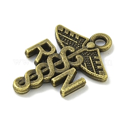 Tibetan Style Alloy Pendants&nbsp;TIBE-I026-5976AB