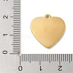 Ion Plating(IP) 304 Stainless Steel Pendants&nbsp;STAS-Q334-23G