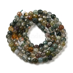 Natural Moss Agate Beads Strands&nbsp;G-H302-A03-01