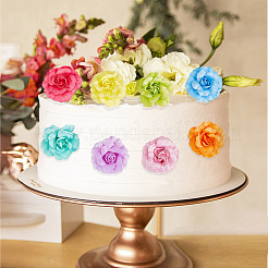 36Pcs 12 Colors Silk Rose Flower&nbsp;AJEW-GF0007-01