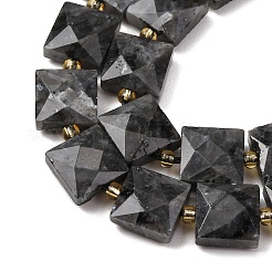 Natural Larvikite Beads Strands&nbsp;G-F839-A03-01